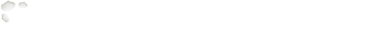 103º aniversário de Sophia de Mello Breyner Andresen